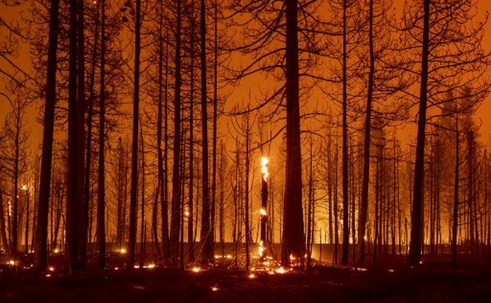 In this long exposure photograph, trees smolder and burn during the Dixie fire near Greenville, California on August 3, 2021. - The Dixie fire has burned more than 250,000 acres and continues to get closer to residential communities. The 2017 Thomas Fire is now only the seventh worst by area destroyed -- and is likely to be overtaken soon by the Dixie Fire raging through the states northern forests, as climate change makes wildfire season longer, hotter and more devastating. (Photo by JOSH EDELSON / AFP)