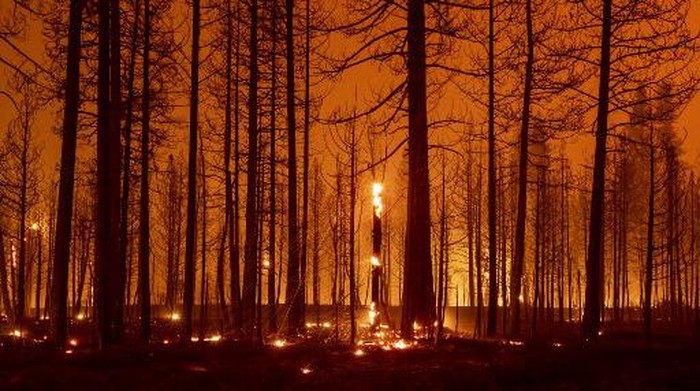 In this long exposure photograph, trees smolder and burn during the Dixie fire near Greenville, California on August 3, 2021. - The Dixie fire has burned more than 250,000 acres and continues to get closer to residential communities. The 2017 Thomas Fire is now only the seventh worst by area destroyed -- and is likely to be overtaken soon by the Dixie Fire raging through the states northern forests, as climate change makes wildfire season longer, hotter and more devastating. (Photo by JOSH EDELSON / AFP)