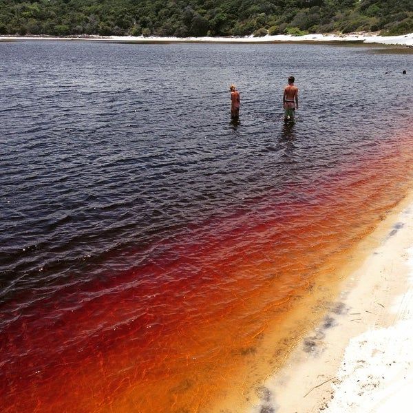 Warnanya Mirip Minuman Soda, Air Laguna di Brazil Ini Jadi Viral