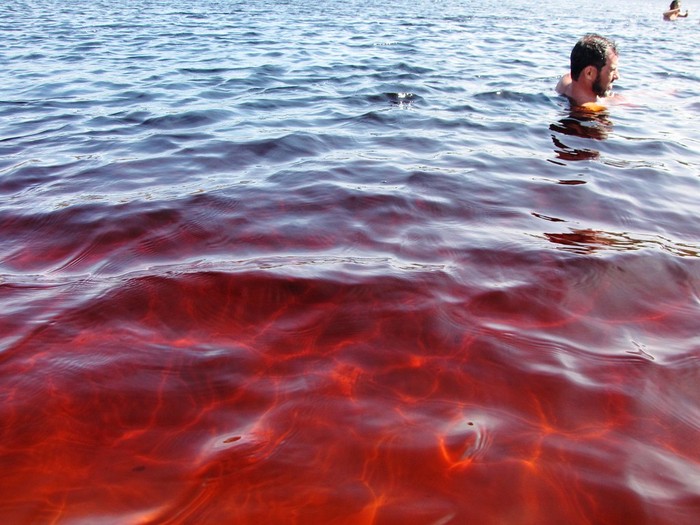 Warnanya Mirip Minuman Soda, Air Laguna di Brazil Ini Jadi Viral