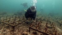 Selain itu, PKT juga fokus pada program berbasis konservasi laut di perairan Bontang sejak 2009, berupa penurunan terumbu buatan dengan komitmen 500 unit per tahun. Program ini melibatkan kelompok nelayan di sekitar Perusahaan, untuk proses pembuatan dan penurunan media terumbu. Pemberdayaan juga merupakan upaya PKT dalam menumbuhkan kesadaran nelayan akan pentingnya ekosistem perairan, sekaligus menekan aktivitas penangkapan ikan dengan cara yang tidak ramah lingkungan.