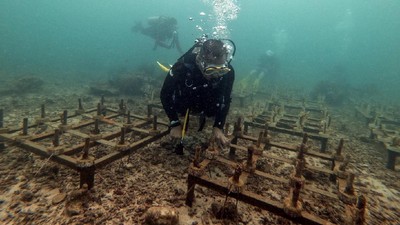 Kesinambungan Konservasi Alam Tetap Dilakukan Selama Pandemi