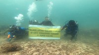 Sesuai tema “Bhavana Satya Alam Budaya Nusantara” pada peringatan Hari Konservasi Alam Nasional (HKAN) 2021, PKT memastikan untuk terus meningkatkan kontribusi serta komitmen di bidang konservasi keanekaragaman hayati dan lingkungan. PKT senantiasa mensinergikan aspek lingkungan dalam aktivitas bisnis Perusahaan, sebagai dasar mengelola dan menggunakan sumber daya alam secara bijaksana.