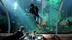 Restoran Under Water di Bali Dapat Gelar Terbaik Dunia