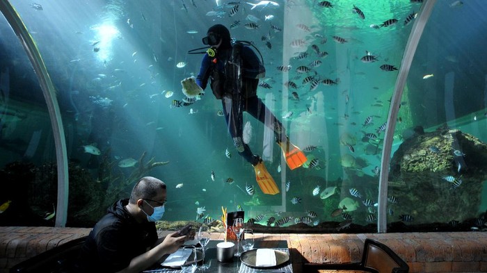Pengunjung berada di Koral Restaurant yang terletak di The Apurva Kempinski Bali, Nusa Dua, Badung, Bali, Senin (9/8/2021). Restoran dengan nuansa akuarium yang menampung sekitar 2.400 ekor ikan dengan 63 jenis ikan tersebut dinobatkan sebagai 