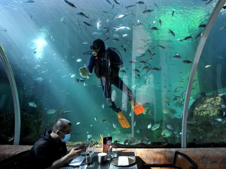 Restoran Under Water di Bali Dapat Gelar Terbaik Dunia