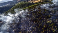 Tampak api menghanguskan kawasan hutan pinus alami dan lahan pertanian. AP Photo/Ismail Coskun  