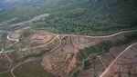 Menyisir Lokasi Kebakaran Turki dari Helikopter