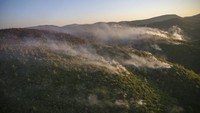 Kebakaran hutan di Turki dimulai pada Juli 28 di tengah gelombang panas yang ganas dan berkobar selama berhari-hari di lebih dari setengah provinsi Turki. AP Photo/Emre Tazegul  