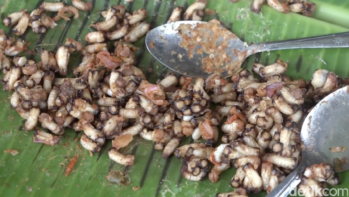 Nyamm! Pepes Sarang Lebah dan Gogos yang Unik dari Polewali Mandar