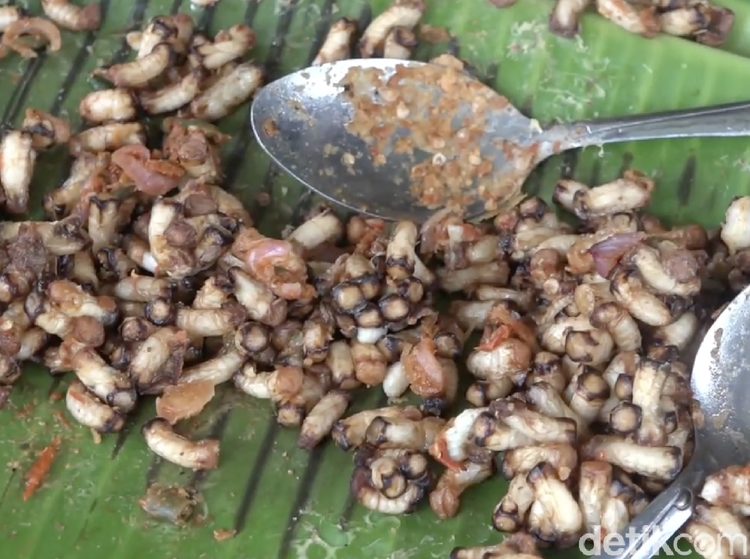 Nikmat Berkhasiat! Ini Pepes Sarang Lebah dari Polewali Mandar