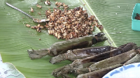 Supaya lebih nikmat, pepes sarang lebah terlebih dahulu diberi bumbu pelengkap. Racikannya terdiri dari cabai rawit yang telah dihaluskan dan perasan air jeruk nipis. Kedua bumbu ini diaduk bersama sarang lebah hingga rata.