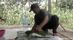 Nikmat Berkhasiat! Ini Pepes Sarang Lebah dari Polewali Mandar