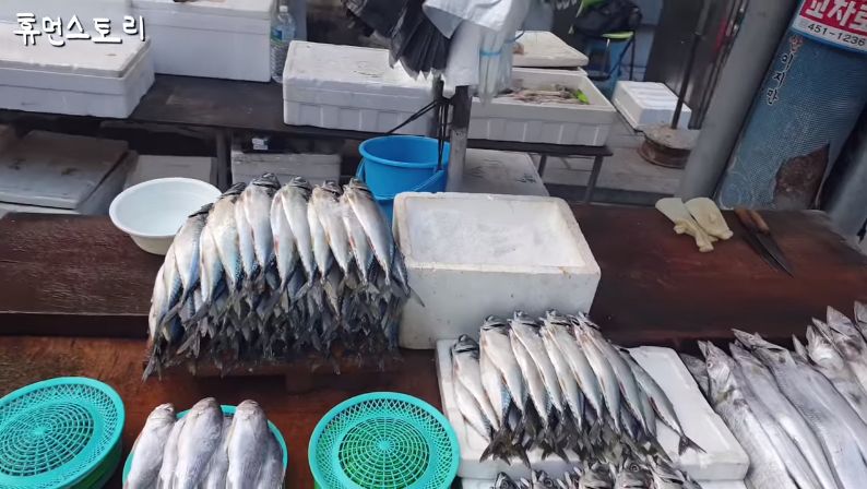 Penjual Ikan Tampan di Korea