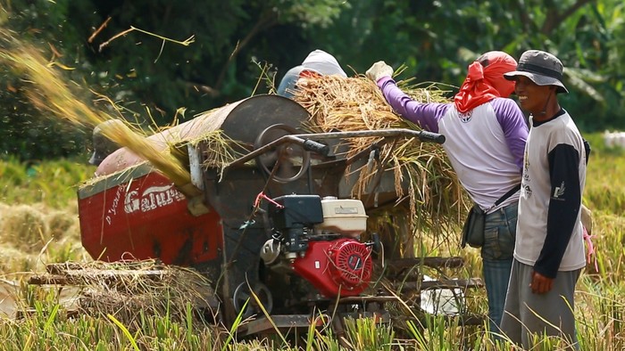 Penyaluran Kredit Pertanian BRI hingga Juni 2021 Tembus Rp 117,54 T