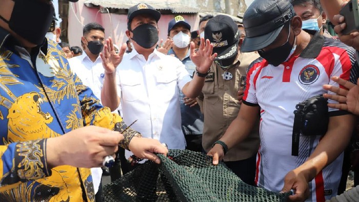 Menteri Kelautan dan Perikanan Sakti Wahyu Trenggono memastikan menjaga kesehatan laut dengan tidak lagi memperbolehkan alat tangkap cantrang beroperasi di perairan Indonesia. Komitmen ini ditujukannya dengan menyaksikan pemusnahan cantrang di Jawa Tengah.