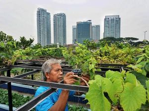Mahasiswa UB Ajak Masyarakat Lakukan Urban Farming untuk Perkuat Ketahanan Pangan