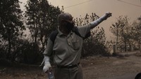 Kebakaran hutan itu dipicu cuaca yang cukup terik. Hal ini menyebabkan suhu di Aljazair meningkat drastis hingga 46 derajat celcius pada hari Selasa (10/8). .