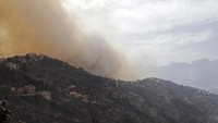 Hutan yang terbakar itu berada di wilayah Kabylie, sebelah timur ibu kota, Aljir.