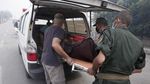 Kebakaran Hutan di Aljazair, 38 Orang Tewas