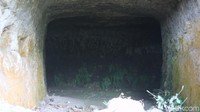 Selain buat tempat persembunyian, gua-gua itu juga jadi tempat penyimpanan logistik bagi tentara Jepang. Dulu di kawasan ini masih hutan lebat, namun sekarang sudah terang benderang. (Dian Utoro Aji/detikTravel)