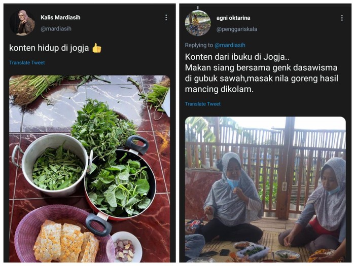 Konten Hidup di Jogja Sedap! Begini Nikmatnya Menu Makan Sederhana ala Netizen di Yogyakarta