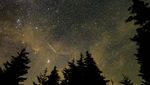 Penampakan Hujan Meteor Perseid di Virginia yang Memanjakan Mata