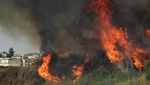 Potret Kebakaran Hutan yang Melanda Italia