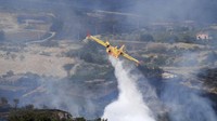 Sementara itu, upaya untuk memadamkan api pun terus dilakukan. Sebuah pesawat dikerahkan untuk menjatuhkan air ke titik-titik api guna memadamkan kebakaran hutan di kawasan Italia. 