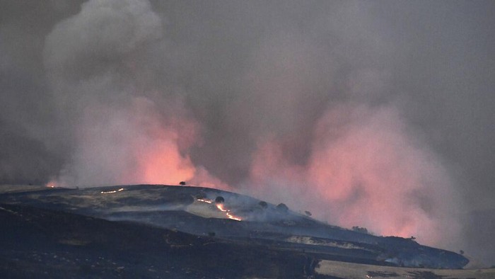 Potret Kebakaran Hutan yang Melanda Italia Sejumlah negara di Eropa tengah dilanda kebakaran hutan. Selain Yunani, Italia juga tengah berjibaku padamkan kebakaran hutan di wilayahnya.