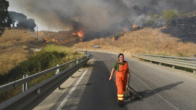 Potret Kebakaran Hutan yang Melanda Italia
