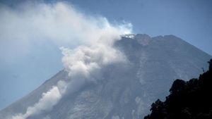 Potret Merapi Kembali Keluarkan Guguran Lava