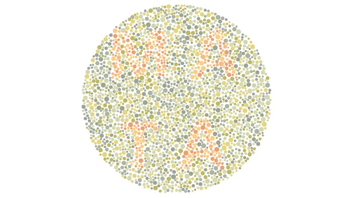 Tes Buta Warna, Tebak Kata Tersembunyi di Gambar Ini!