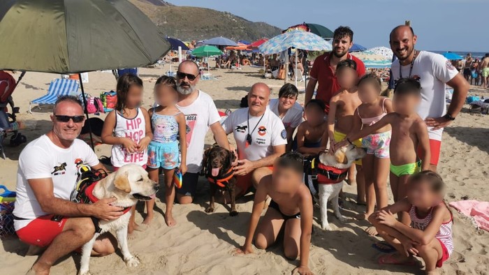 Anjing penjaga pantai