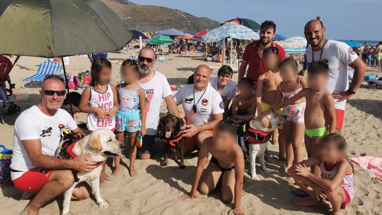 Anjing penjaga pantai Anjing penjaga pantai