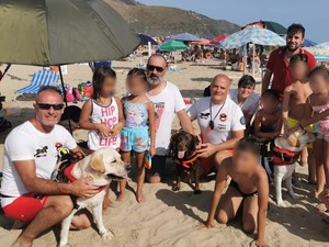 Guk! Anjing Penjaga Pantai Selamatkan Anak-anak yang Hampir Tenggelam