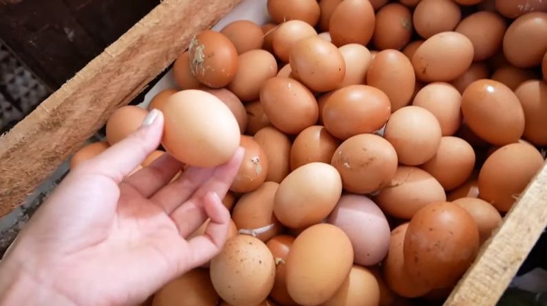 Bule cantik bagikan pengalamannya berbelanja sayuran di pasar Karbela
