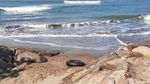 Ditinggal Wisatawan, Pantai Florida Anyer Mati Suri