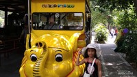 Taring, si gajah kuning, siap mengantar berkeliling Gembira Loka