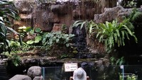 Koleksi satwa dan tumbuhan hijau di Gembira Loka yang tertata rapi, sangat menarik untuk dilihat