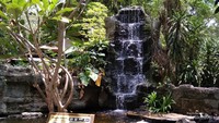 Kawasan hijau Gembira Loka yang menyegarkan mata