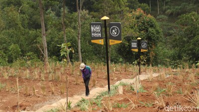 Foto: Lembah Tangga 100, Wisata Baru yang Segar di Bandung