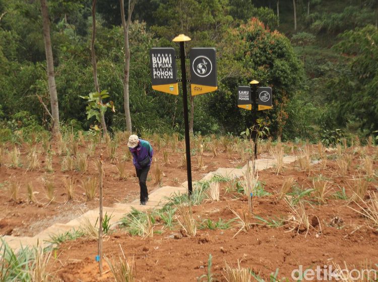 Foto: Lembah Tangga 100, Wisata Baru yang Segar di Bandung