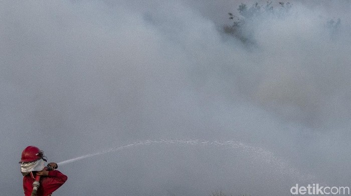 Melihat Perjuangan Damkar Jinakkan Kebakaran Lahan di Ogan Ilir Petugas dari Manggala Agni Daops Banyuasin berusaha memadamkan kebakaran lahan di Desa Rawa Jaya, Pemulutan, Ogan Ilir (OI), Sumatera Selatan, Rabu (11/8/2021). Petugas gabungan dari Manggala Agni Daops Banyuasin dan TNI masih berupaya memadamkan kebakaran dilokasi tersebut.ANTARA FOTO/Nova Wahyudi/aww.