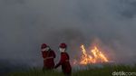Melihat Perjuangan Damkar Jinakkan Kebakaran Lahan di Ogan Ilir