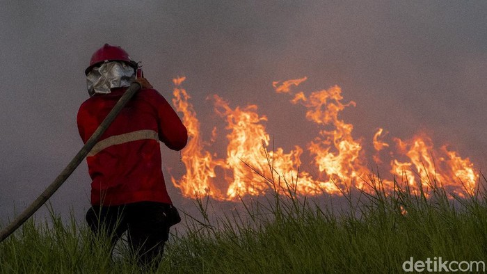 Petugas dari Manggala Agni Daops Banyuasin berusaha memadamkan kebakaran lahan di Desa Rawa Jaya, Pemulutan, Ogan Ilir (OI), Sumatera Selatan, Rabu (11/8/2021). Petugas gabungan dari Manggala Agni Daops Banyuasin dan TNI masih berupaya memadamkan kebakaran dilokasi tersebut.ANTARA FOTO/Nova Wahyudi/aww.