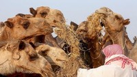Perlu diketahui Indonesia masuk dalam daftar negara yang berstatus Suspend (penangguhan) dari pemerintah Arab Saudi sejak Februari 2021 lalu. Dengan demikian, Arab Saudi menutup penerbangan langsung dari Indonesia ke negaranya. YASSER AL-ZAYYAT/AFP via Getty Images.