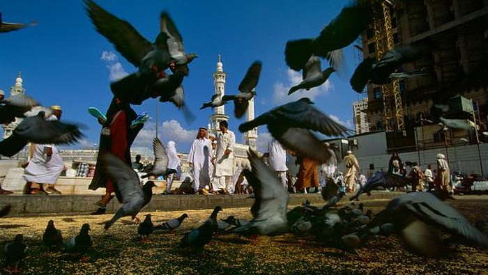 Menerka Nasib Tak Menentu Para Jamaah Umrah dan Haji Indonesia Saat ini pemerintah Arab Saudi telah membuka kembali untuk umroh dan haji di jamaah negara internasional. Tetapi tidak semua negara bisa masuk karena alasan tertentu dan jenis vaksin yang tidak diakui oleh Saudi Arabia. Lalu bagaimana nasib para jamaah umroh dan haji Indonesia?
