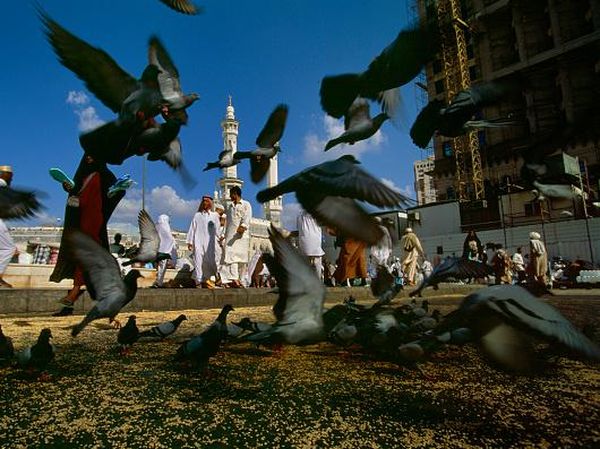 Menerka Nasib Tak Menentu Para Jemaah Umrah dan Haji Indonesia