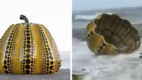 Bagaimana kalau labu kuning karya Yayoi Kusama rusak diterjang badai di tepi laut Pulau Naoshima Jepang? Karya ini senilai Rp 18,6 miliar. Foto: Istimewa